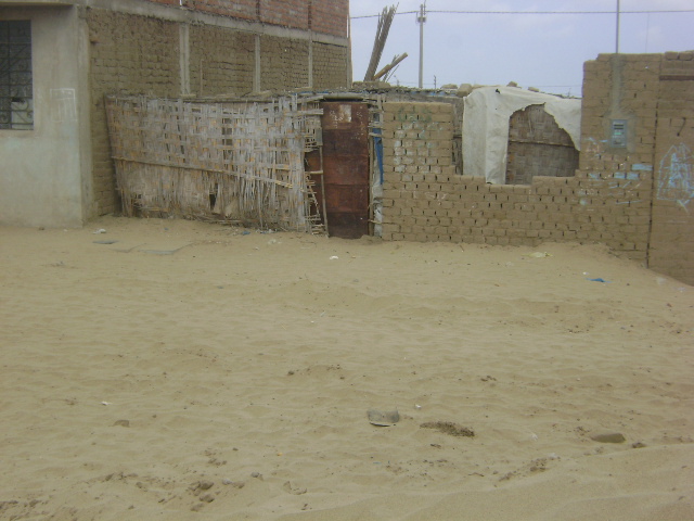 House made of esteras de carrizo in La Esperanza.